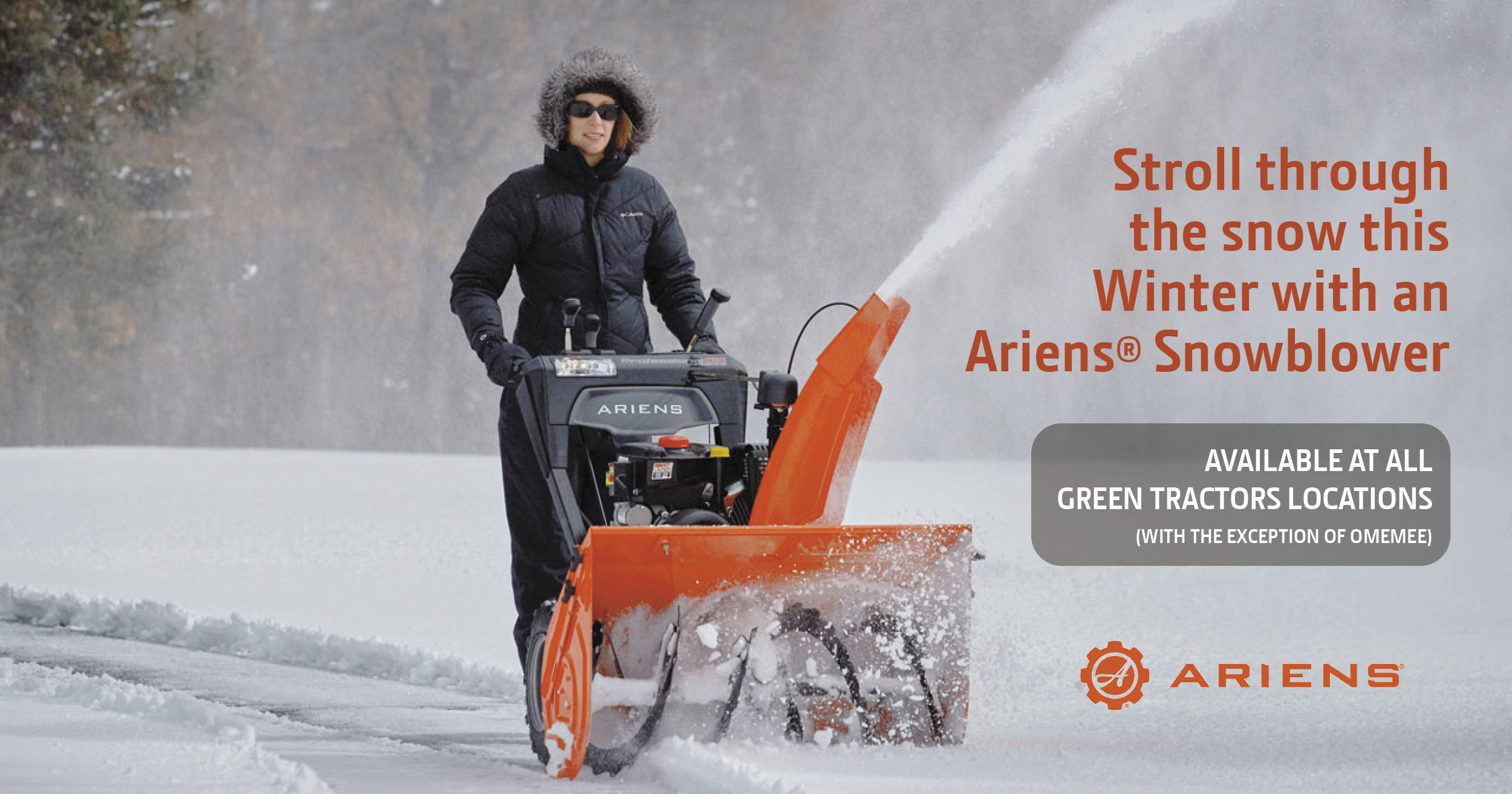 Ariens Snow